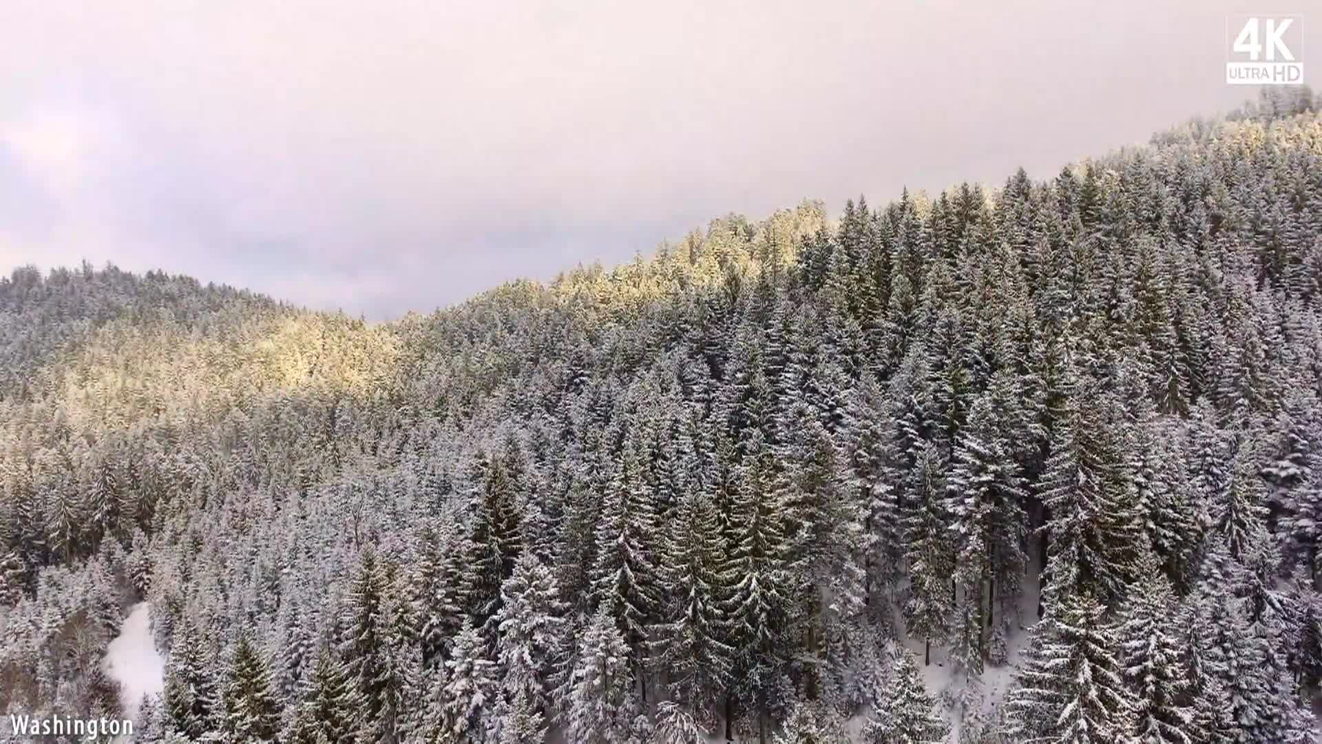 Thumbnail image for Washington Winter Wonderland